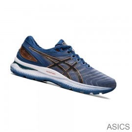Buy / Sell Cheap Asics Running Shoes GEL-NIMBUS 22 Men Blue